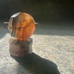 Custom Crowned Montana Moss Agate Plugs 22mm